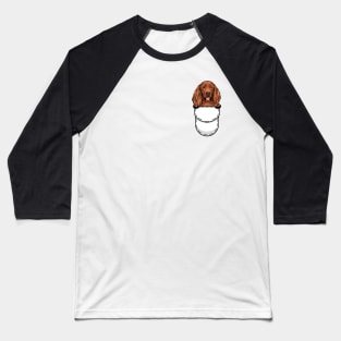 Funny Irish Setter Pocket Dog Baseball T-Shirt